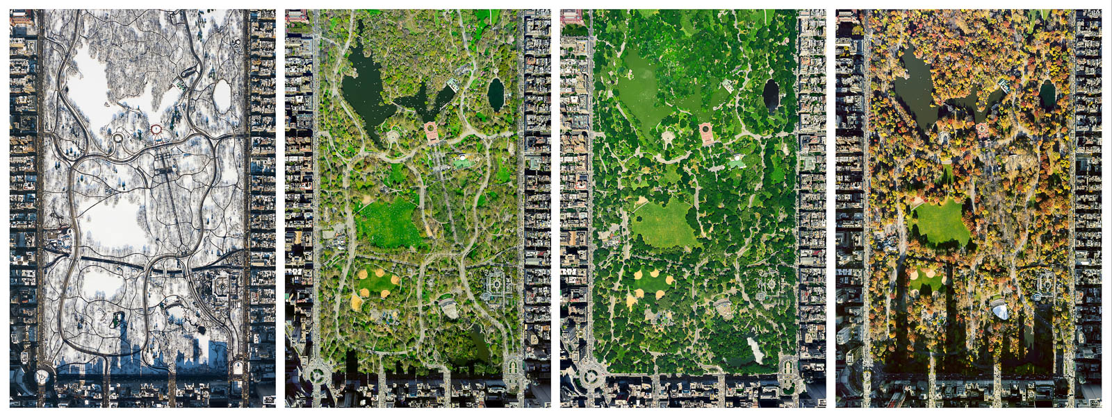 Central Park from 10,000 feet (Set)