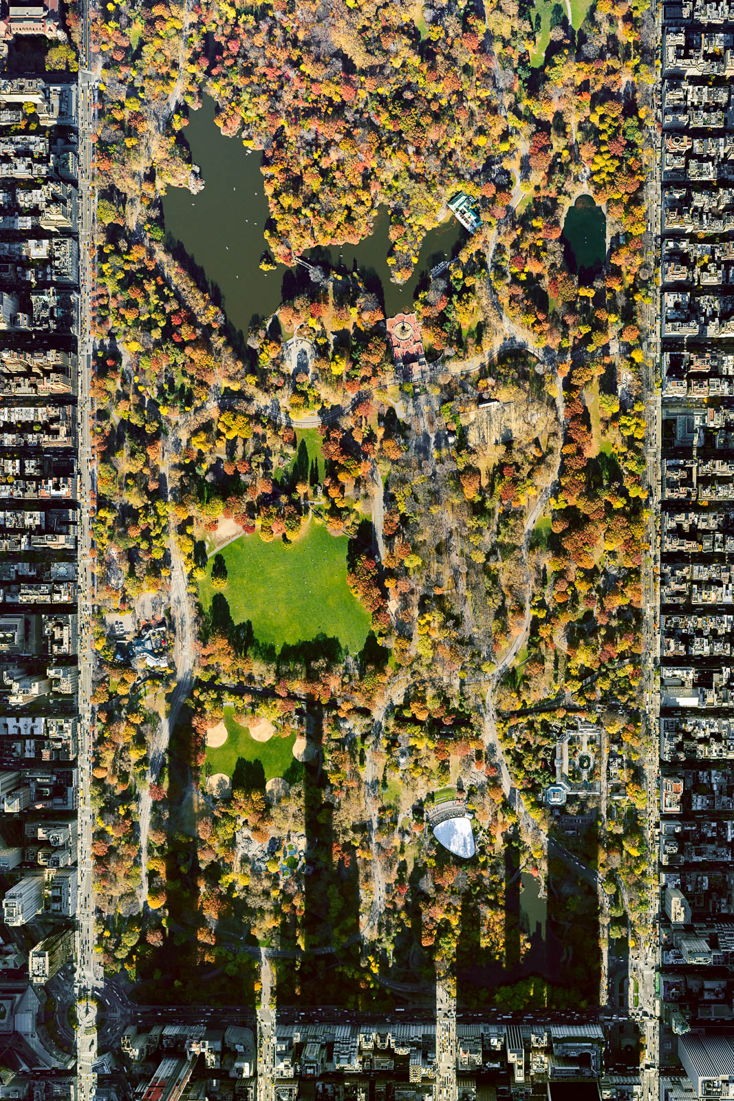 Central Park from 10,000 feet (Autumn)